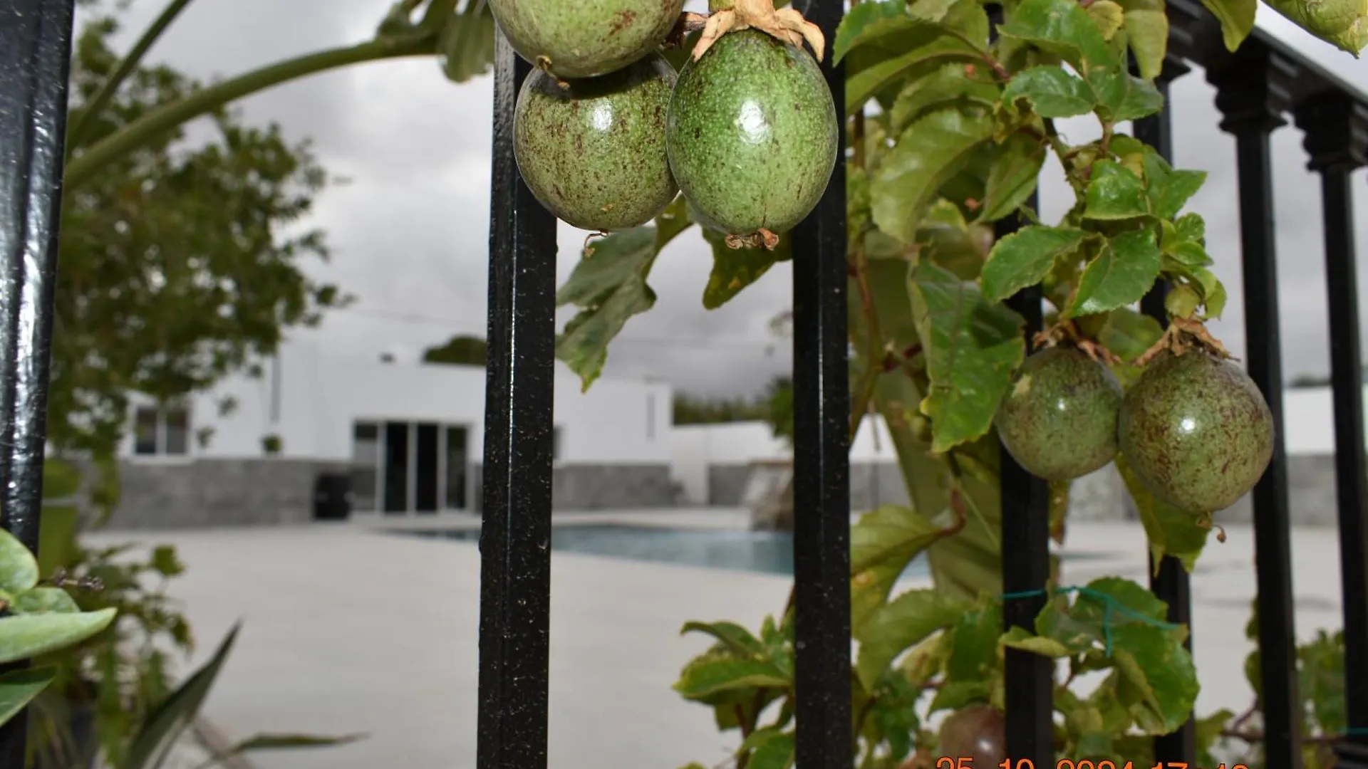 Entre Olivos Villa Nijar